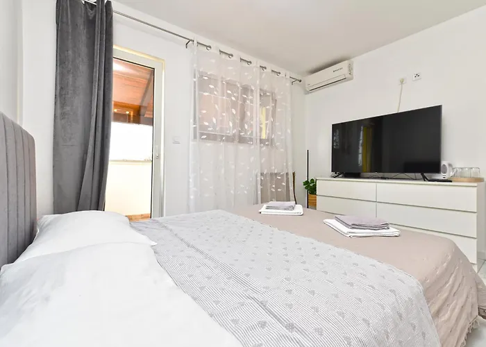 2393 3* Ρόβινι